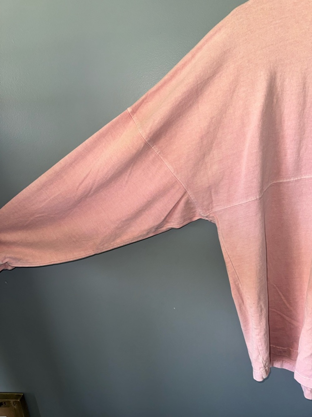 Disney Pink Long Sleeve Walt Disney World Pullover - Picture 7 of 15